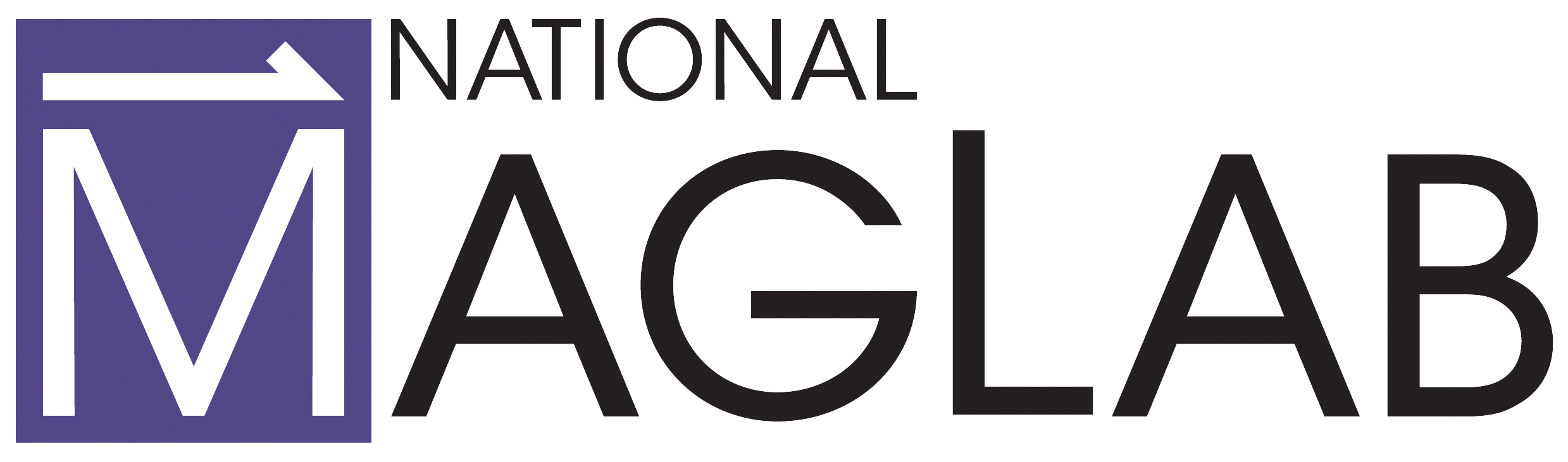 maglab_brandname_download